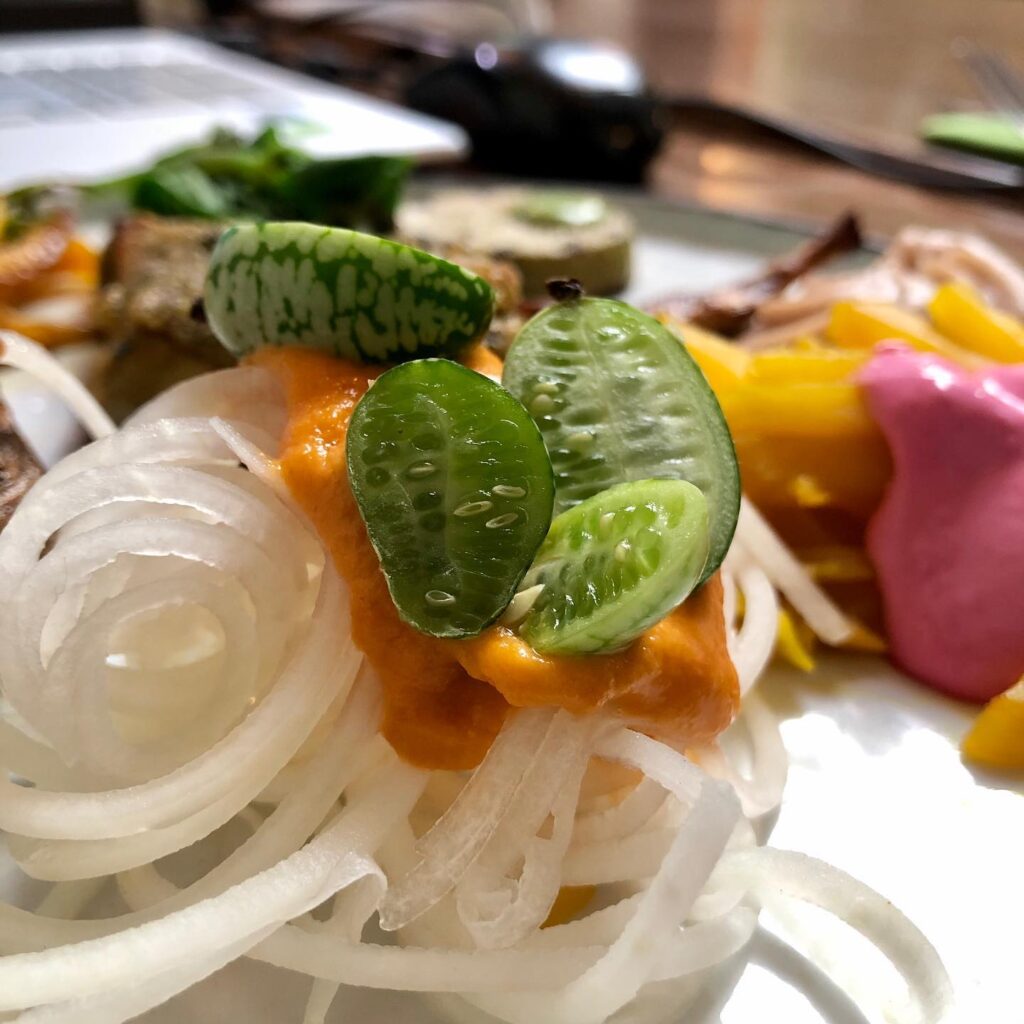 De levensboom Hasselt op Horeca België